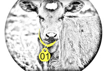 Load image into Gallery viewer, Calving Collars
