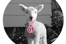 Load image into Gallery viewer, Lamb Collars