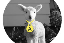 Load image into Gallery viewer, Lamb Collars