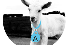 Load image into Gallery viewer, Kid Collars
